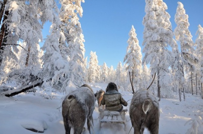 9 фотографий, наполненных очарованием настоящей зимы
