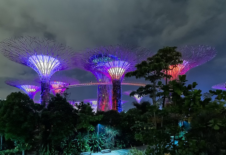 Новогодние Сады у залива в Сингапуре (19 фото)