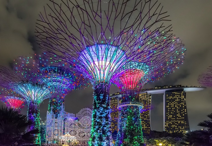 Новогодние Сады у залива в Сингапуре (19 фото)