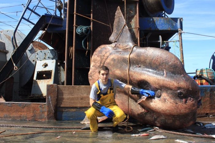 Мурманский моряк публикует фото странных глубоководных рыб, попавших в сети (20 фото)