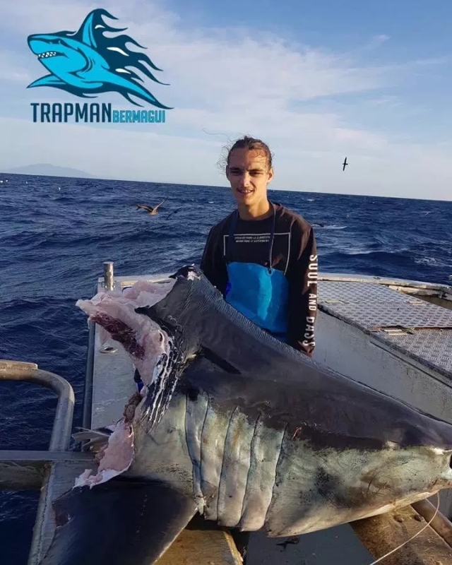 Останки огромной акулы удивили австралийского рыбака (2 фото)