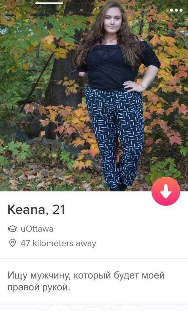   Tinder (15 )