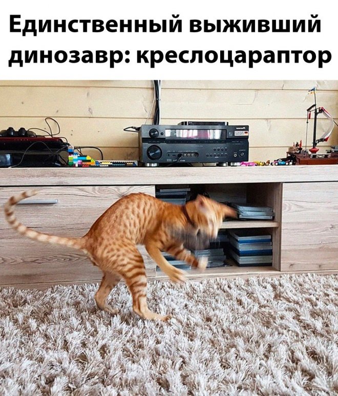 !        (35 )