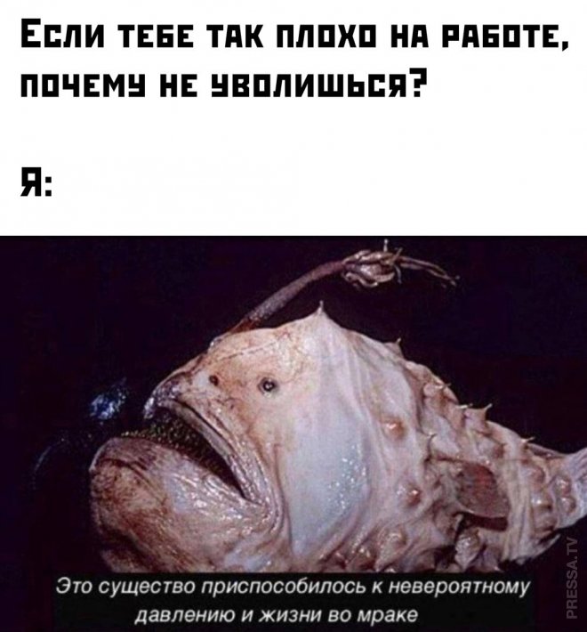 !        (35 )